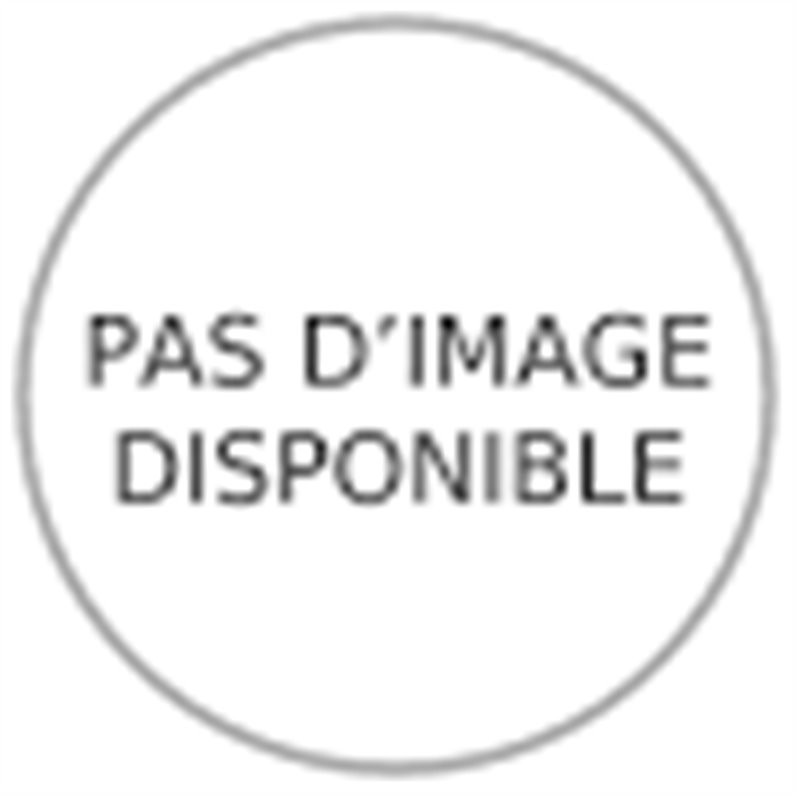 CHARIOT PLIABLE – Plateforme acier
