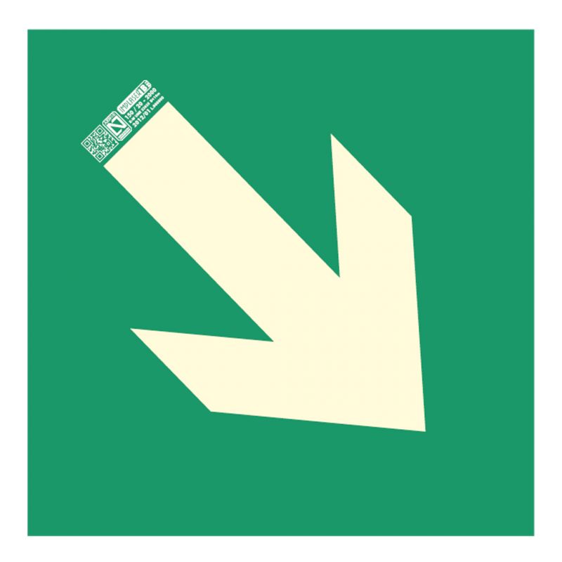 Implaser EV227N Flèche d&rsquo;évacuation diagonale 22,4×22,4cm