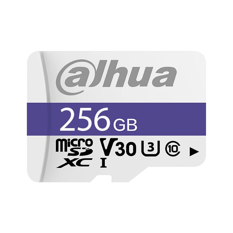 Dahua TF-P100/256GB Carte MicroSD Dahua de 256 GB